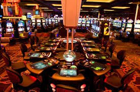 kuvip bet