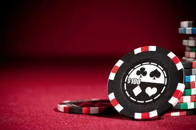 kuvip bet