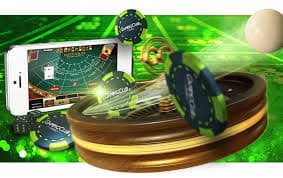 kuvip bet